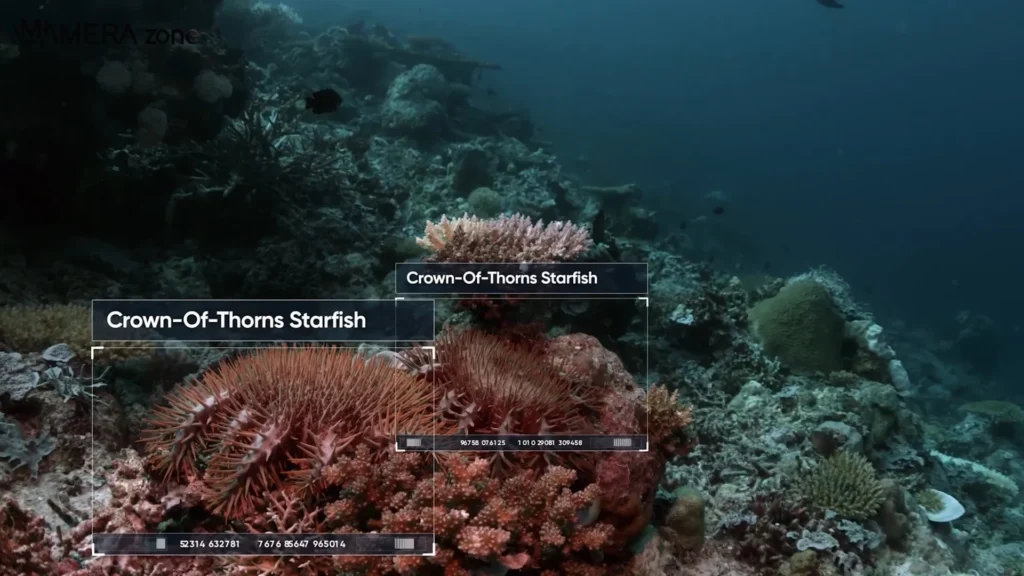 Hydrus The Game-Changing Underwater Drone A image of Stunning Imagery