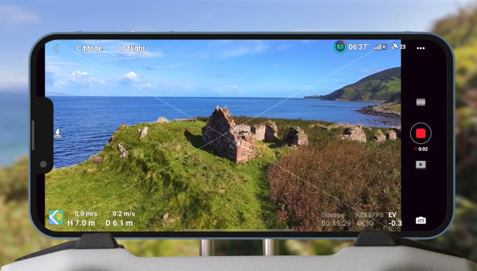 15 Essential Changes for DJI Neo Settings A image of Grid lines