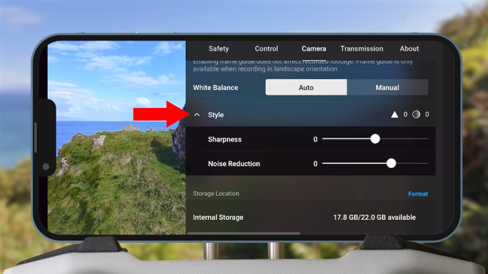15 Essential Changes for DJI Neo Settings A image of button custom