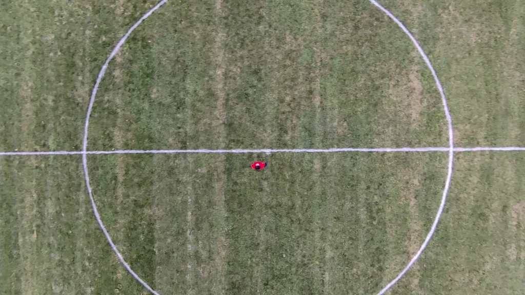 HoverAir X1 Best Settings & Advanced Modes A image of Bird's Eye