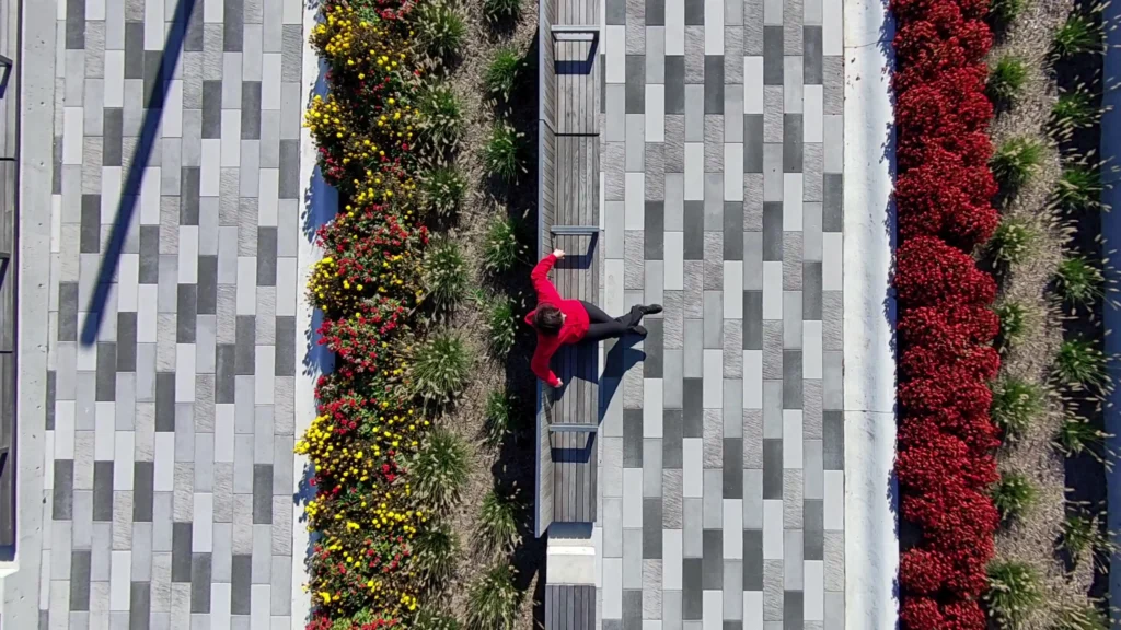 HoverAir X1 Best Settings & Advanced Modes A image of Bird's Eye