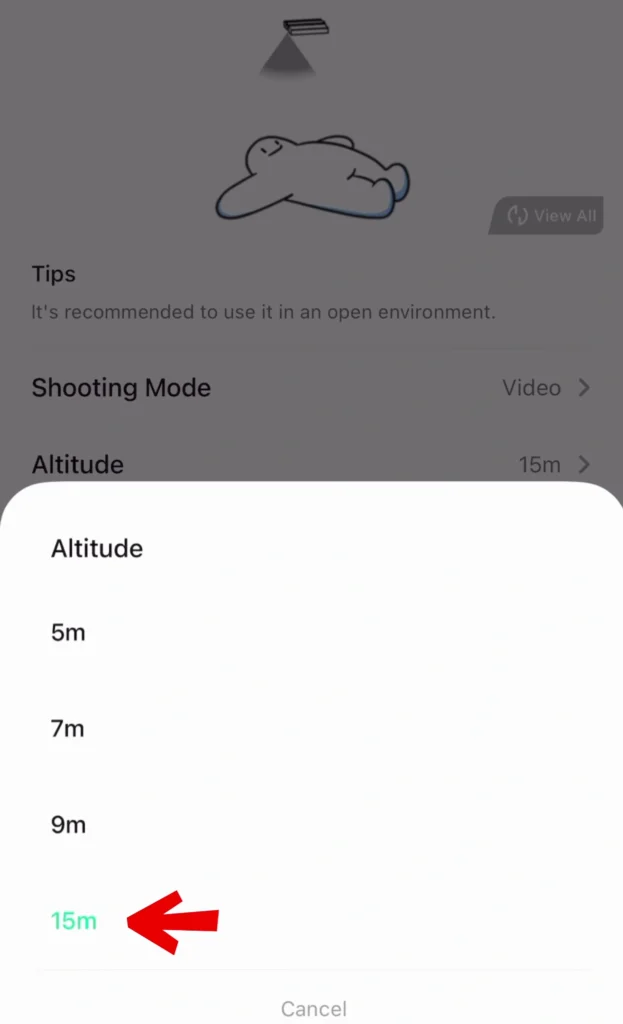 HoverAir X1 Best Settings & Advanced Modes A image of Bird's Eye