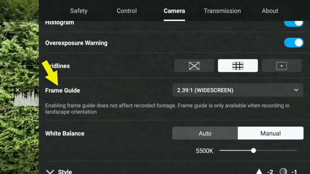13 Best Settings to Improve DJI Neo Video Quality A image of Frame Guide