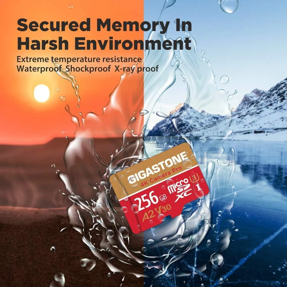 Gigastone SD Card 2