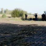 A picture of Orbotix Drone