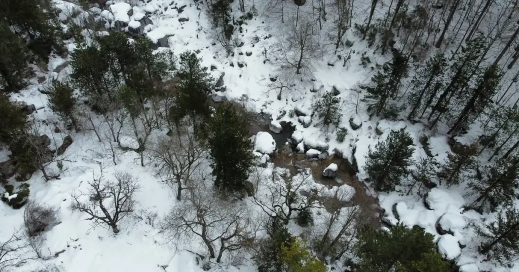 A image of Thermal Drones for Search and Rescue