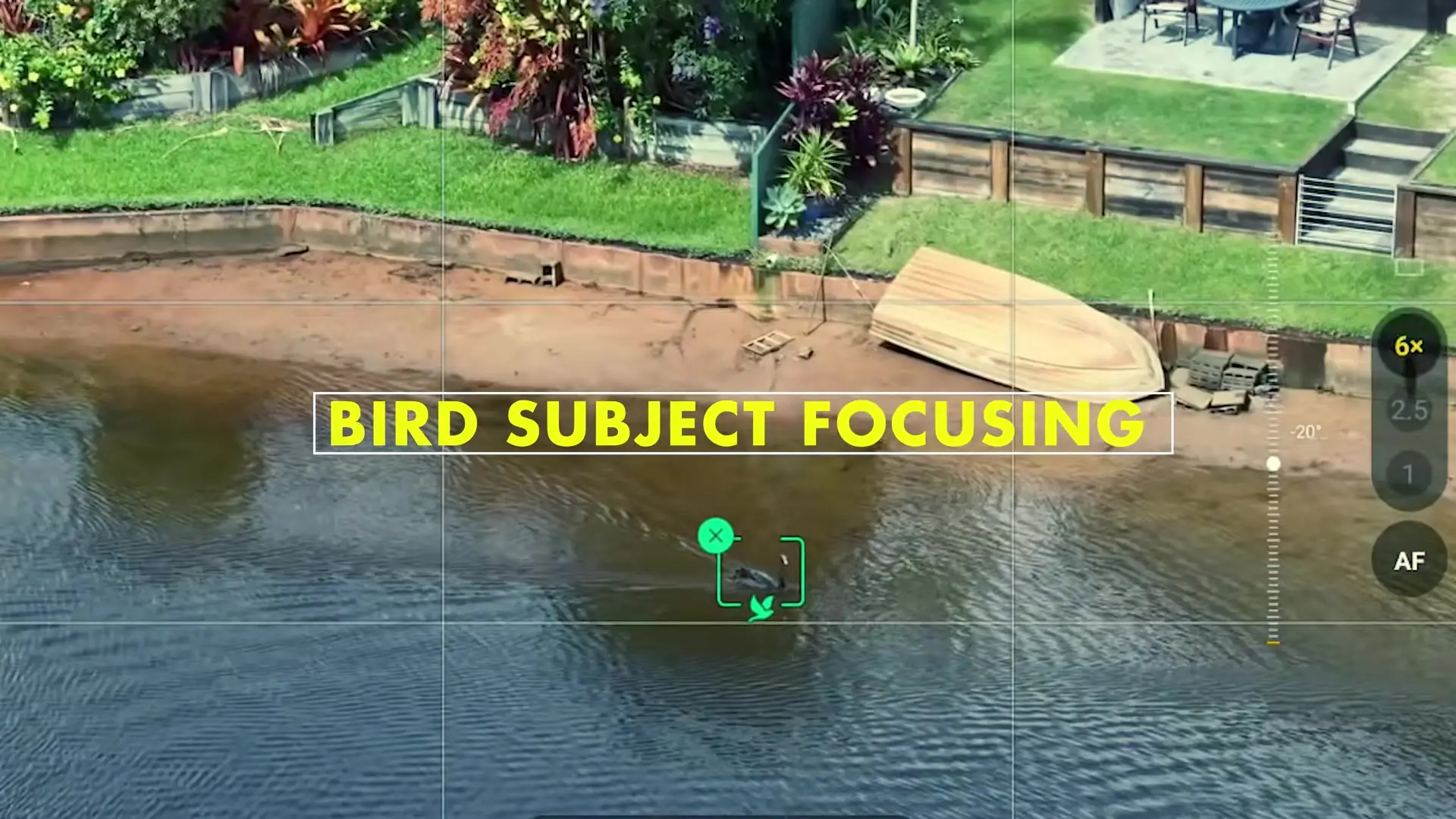 Mavic 4 Pro Bird Tracking Feature Explained