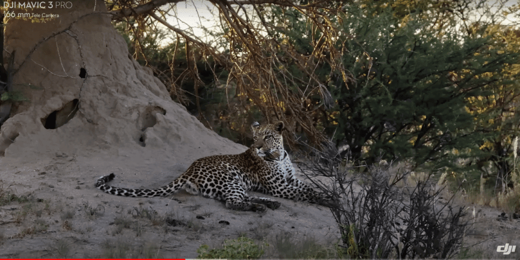 A Picture Shot On DJI Mavic 3 pro