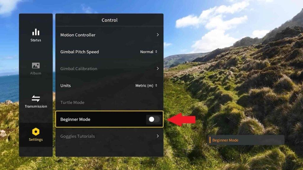 A image of .Beginner Mode Settings