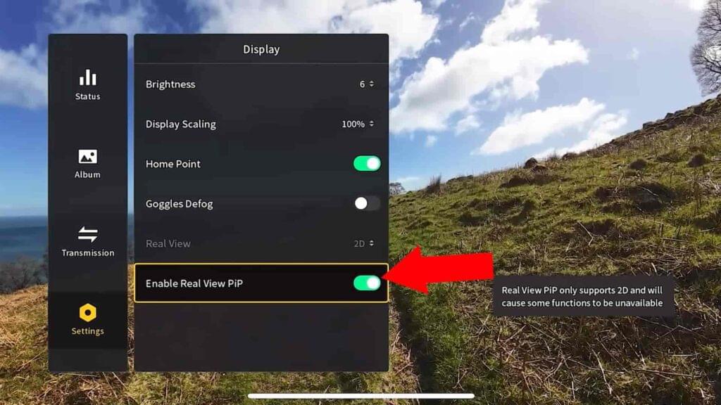 A image of Real View PIP Settings