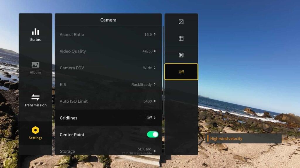 A image of Grid Lines Settings