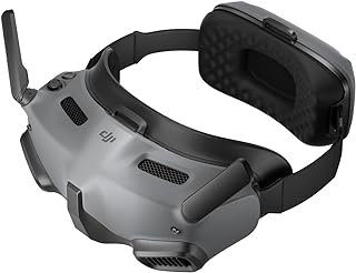 A image of DJI Goggles