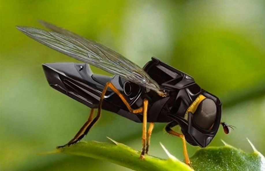 A Image Insect-Inspired Drones