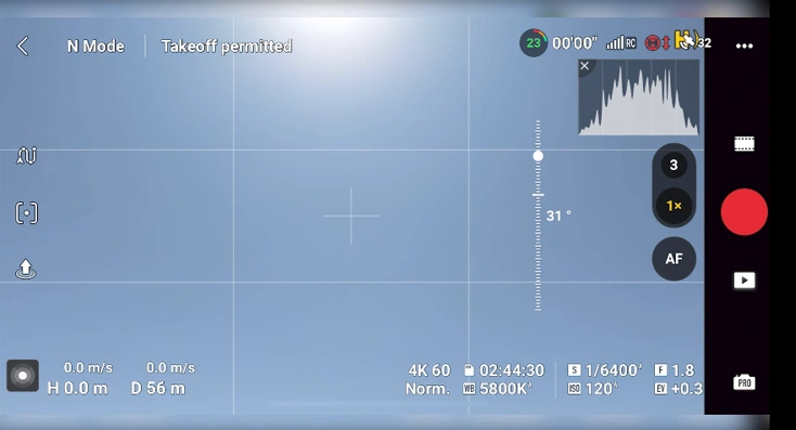 BEST TIPS & SETTINGS FOR DJI AIR 3S A image of Gridlines