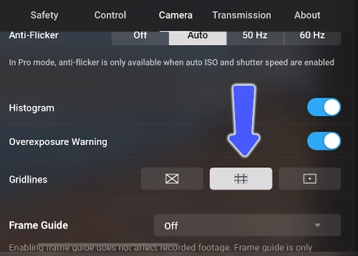 BEST TIPS & SETTINGS FOR DJI AIR 3S A image of Gridlines
