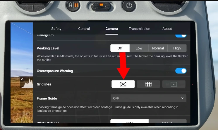 Best DJI Mini 4 Pro Settings Gridlines 2