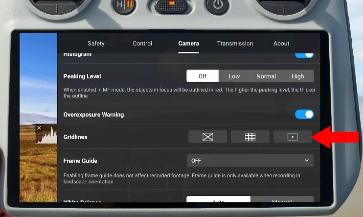 Best DJI Mini 4 Pro Settings Gridlines