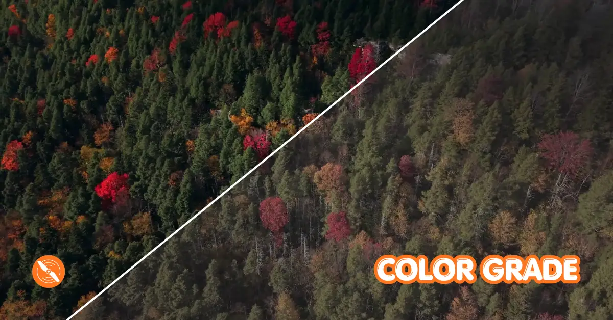 A image of How to Color Grade DJI Mini 5 Pro Footage in DaVinci Resolve